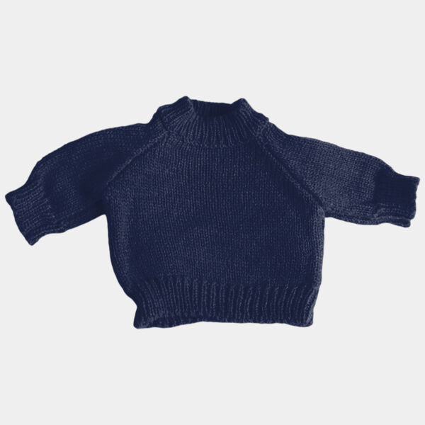 Teddy jumper Thumbnail